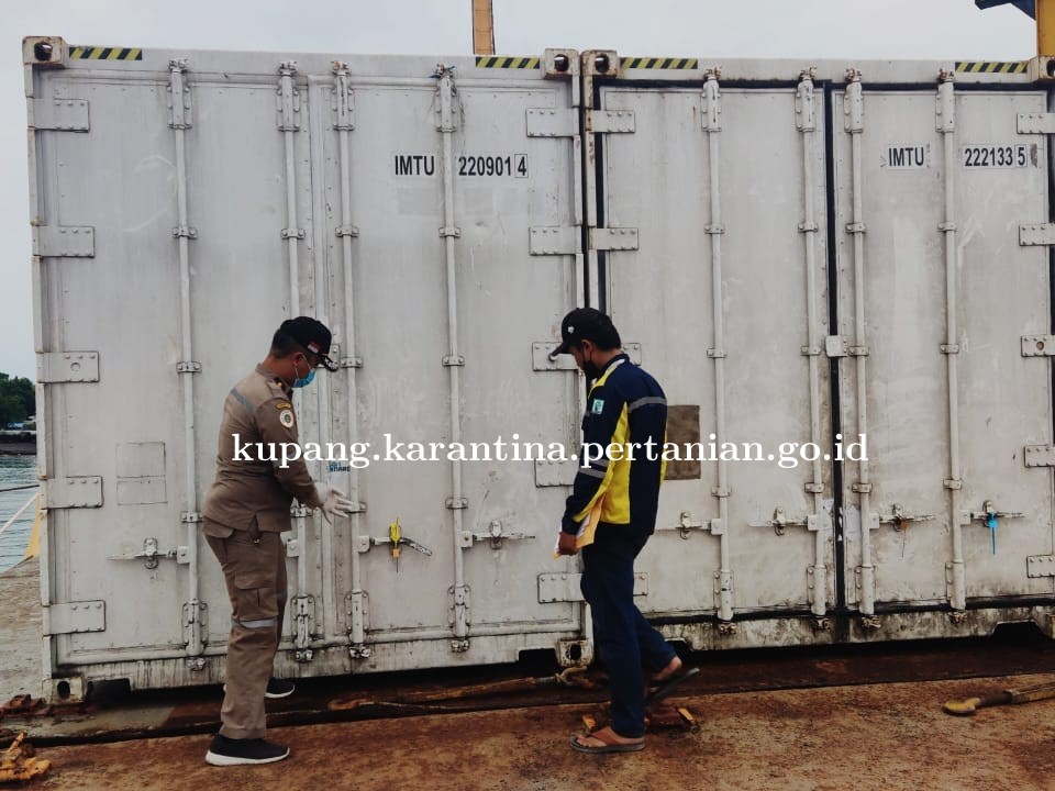 Tidak Dilengkapi Dokumen, Karantina Pertanian Kupang Tolak Pemasukan Ice Cream